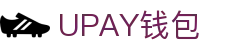 UPAY钱包 - 安全便捷的移动支付与理财平台
